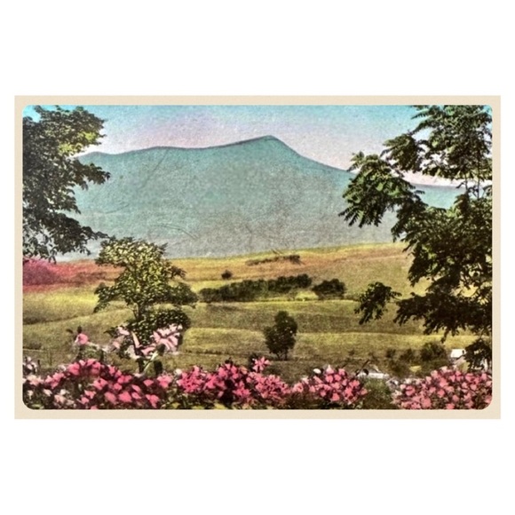 Massanutten Springs Station Harrisonburg Virginia Postcard - Picture 2 of 14